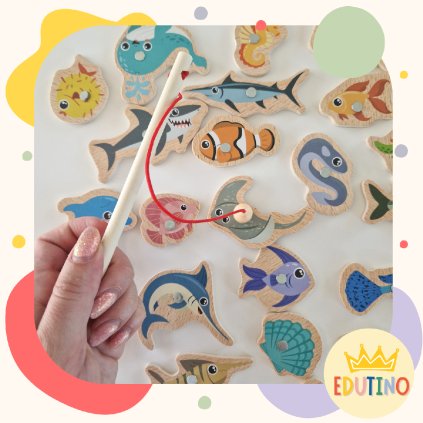 edutinO (11)