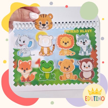 edutinO (7)