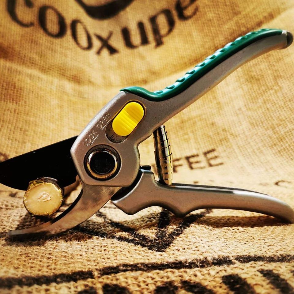 Záhradné nožnice PROFI S