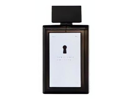 antonio banderas the secret edt m 100 ml