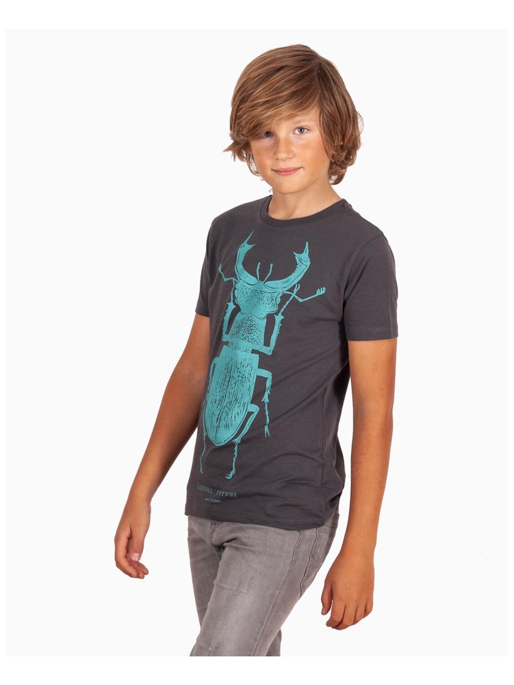 stag beetle kids tshirt rohac detske tricko s broukem lucie tatarova asfaltova03