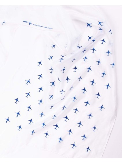 bily hedvabny sal s dopravnimi letadly boeing737 eeroplane detail
