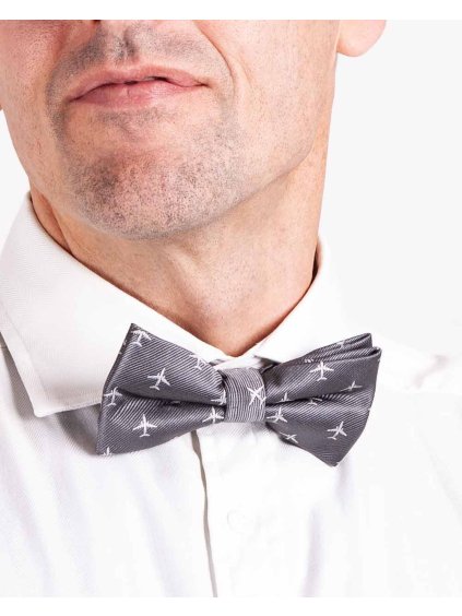 sedy motylek s dopravnim letadlem eeroplane pilot