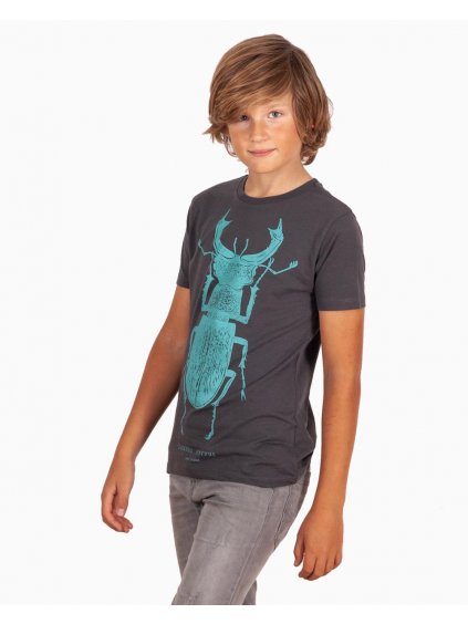 stag beetle kids tshirt rohac detske tricko s broukem lucie tatarova asfaltova03