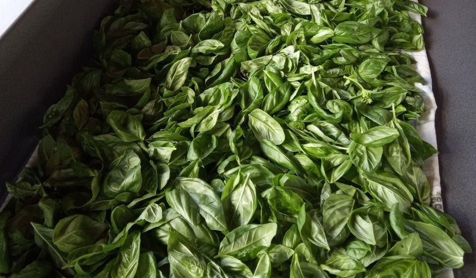 Bazalkové pesto na těstoviny