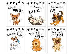 Svačinové kartičky