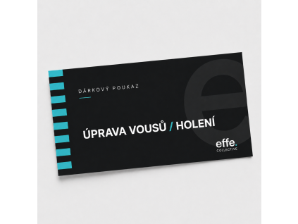 e upravavousu holeni