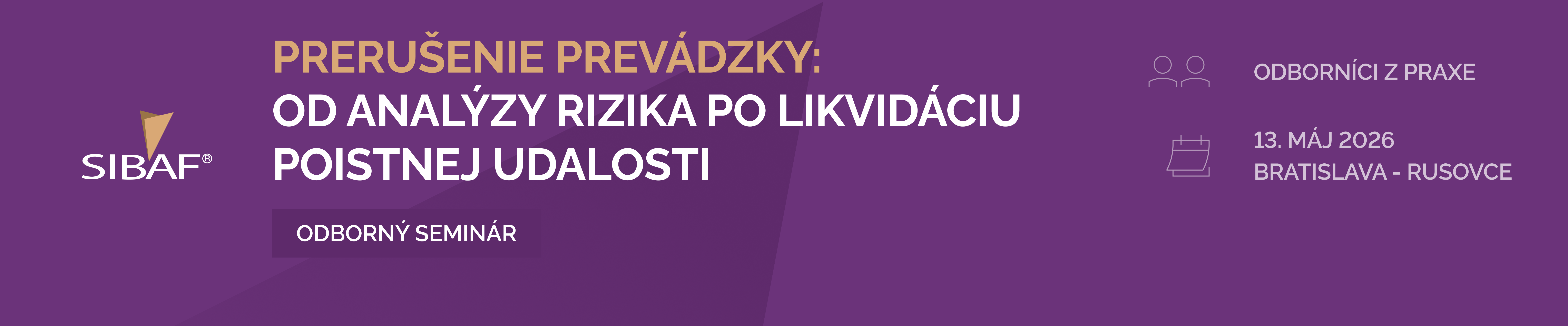 SIBAF BI seminar_desk