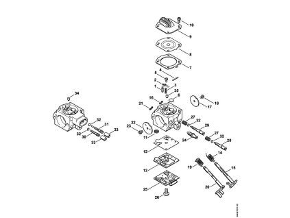 MS 461 - rozkres