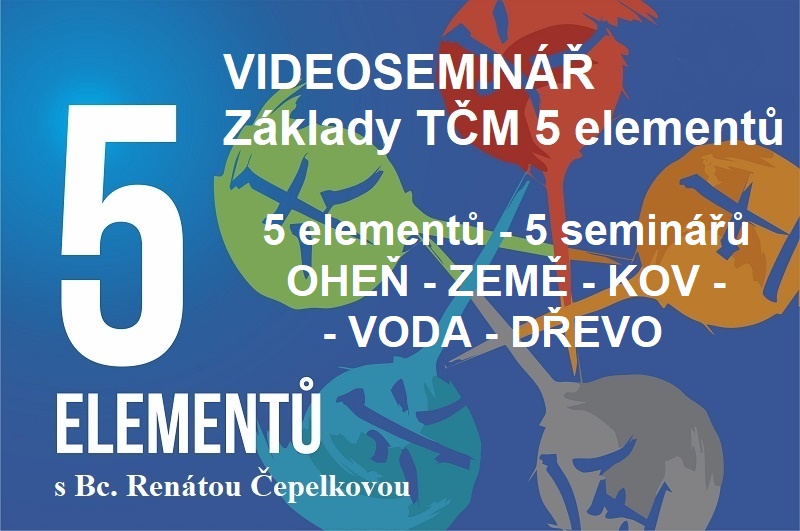 Pozvánka na videoseminář IMUNITA z pohledu tčm Bc Renáta Čepelková a Centru FUZHI Praha - YouTube