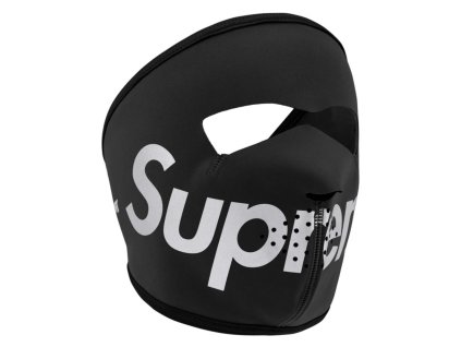 Supreme WINDSTOPPER Facemask (FW25)