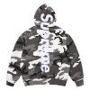 Supreme Satin Applique Hooded Sweatshirt (SS26)