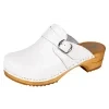 SP2 bialy 1