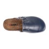 BZ421 modrad