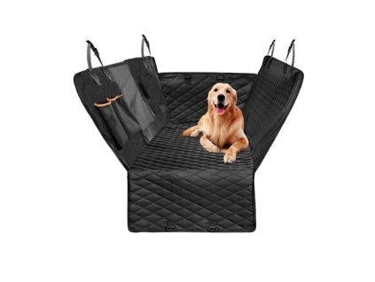 69937 getimage ashx id mp5403 autopotah pro psa 1