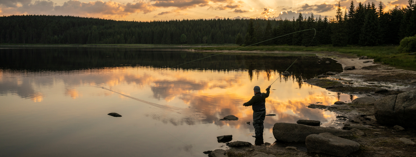 Merino for hunting & fishing