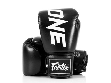 fairtex cobrand one black website 1 0 1