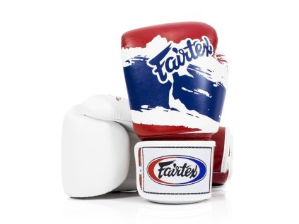 Boxerské rukavice Fairtex rukavice BGV1 - Thai Pride