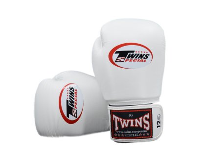Boxerské rukavice TWINS BG-N-WHT-V2 - bílá