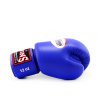 Boxerské rukavice kožené TWINS - modrá barva
