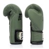 Boxerské rukavice Fairtex BGV11 Limited Edition F-Day