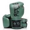 Boxerské rukavice Fairtex - Booster  BGVB1 - zelená
