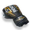 Boxerské rukavice BOOSTER War Pellis kůže - černá/zlatá