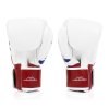 Boxerské rukavice Fairtex BGV1 - Thai Pride