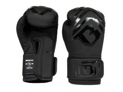 Kinder Boxhandschuhe Booster Youth Elite V2 - Schwarz