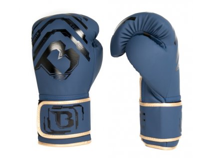 Kinder Boxhandschuhe Booster Youth Elite V2 - Blau