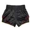 FAIRTEX THAI BOXING SHORTS  BS1925 -SCHWARZ