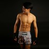 Tuff Muay Thai Shorts Hanuman Yantra War Flag - grau
