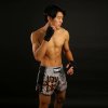 Tuff Muay Thai Shorts Hanuman Yantra War Flag - grau