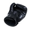 Boxhandschuhe TWINS BG-N-V2 - Schwarz