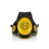 Fairtex TV2 Trainerweste – Schwarz/Gold – Ansicht 2