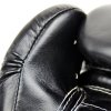 Boxerské rukavice Fairtex BGV14 - černá