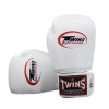 Boxerské rukavice TWINS BG-N-WHT-V2 - bílá