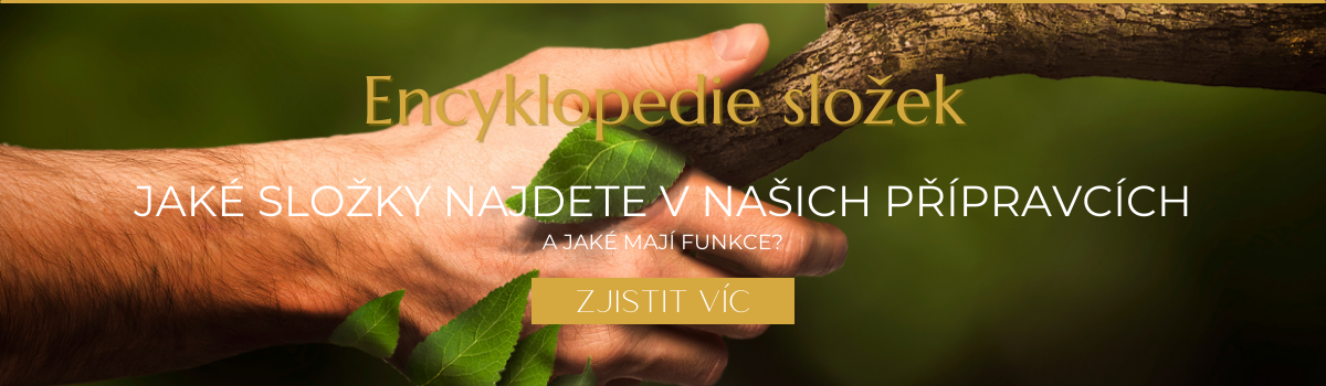 Podívejte se na složky, které v přípravcích používáme