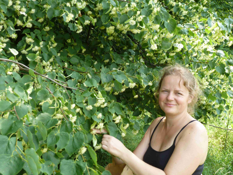 eHerbarium-bylinky-z-celeho-sveta