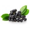 Aronie, černá jeřabina plod