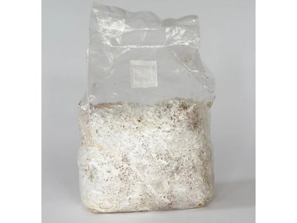 fe084cee 1504 4948 ab6c e166e91461d3