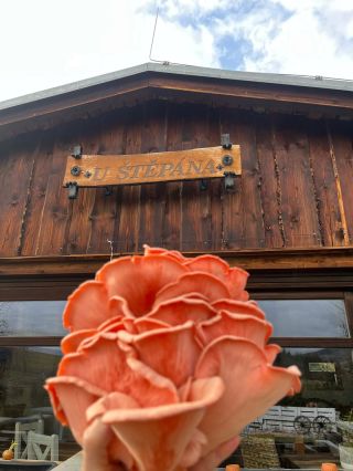 Ve čtvrtek 2.4. @hospudkaustepanaofficial znovu otevírá 🍽️ A já mám obrovskou radost, že i tuhle sezónu budou součástí...