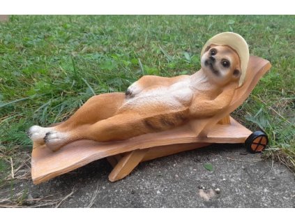 Surikata na lehátku - v klobouku