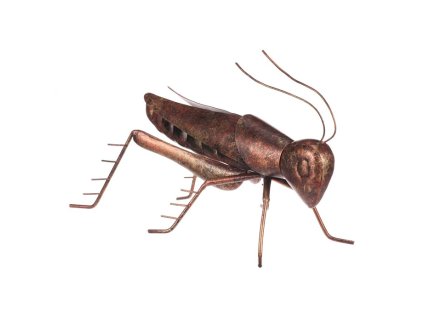 CBFA7E064A0834573F605E11FBB15C3AF9347F65 1 pl