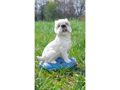 bílý pes se zvukem