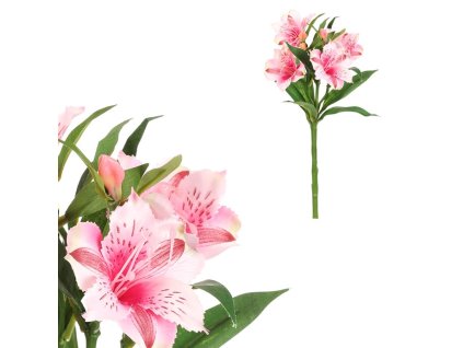 6B52784273A515645127F15A8D395A5129B02025 1 pl