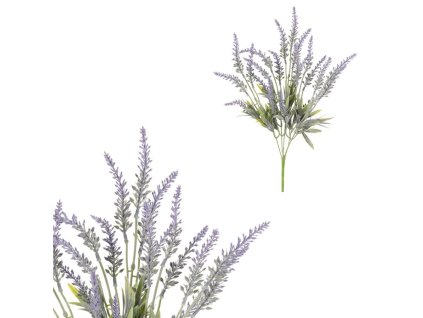 0C3D54DE4B0DD9E46E2E744E08C0A9E83F96971C 1 pl