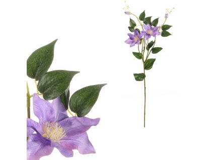 9B9C72F883EDFAD7ED767B139884C7DBA5BF59EA 1 pl