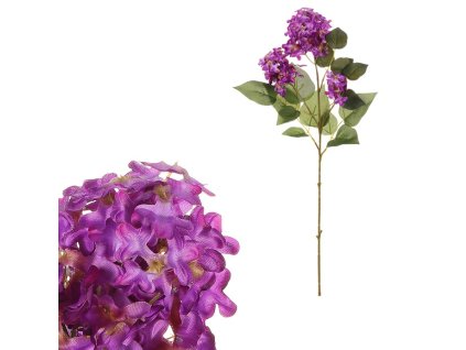 012CC34E5A09551C64E03800699EE682EA5B8826 1 pl