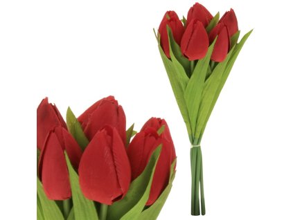 6D1099E2067F2E7DE455D298EDC2F25CBC0AE99D 1 pl